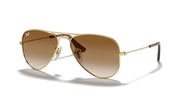 Ray Ban RJ9506S  223/13