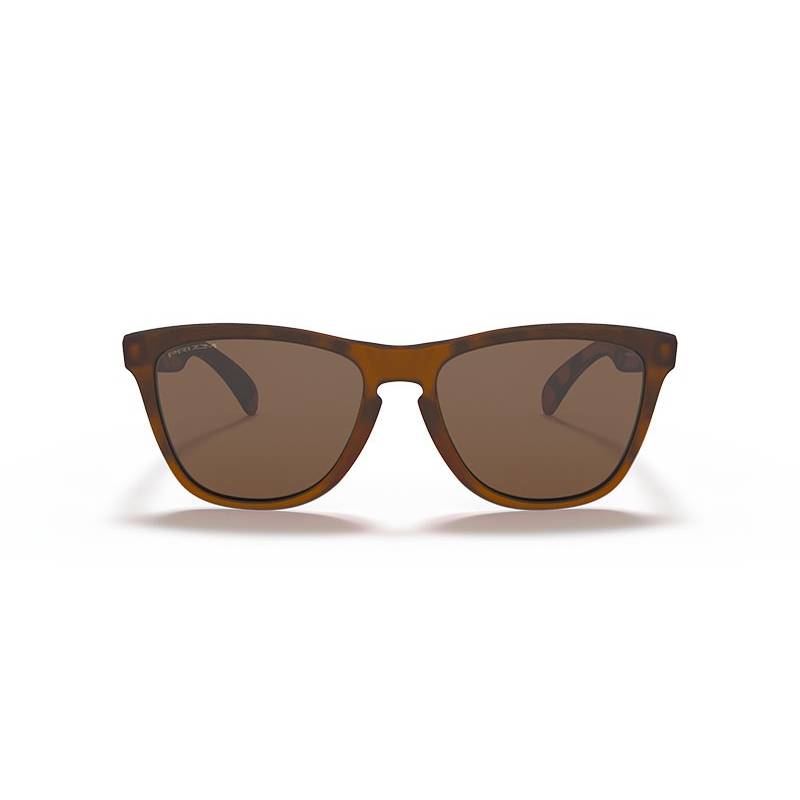 Lunettes Oakley Frogskins OO9013 - C5