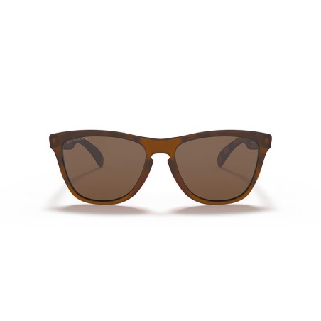 Lunettes Oakley Frogskins OO9013 - C5