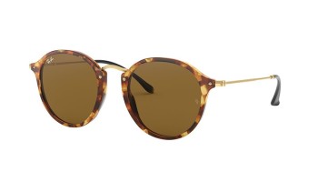 Ray Ban RB2447 1160