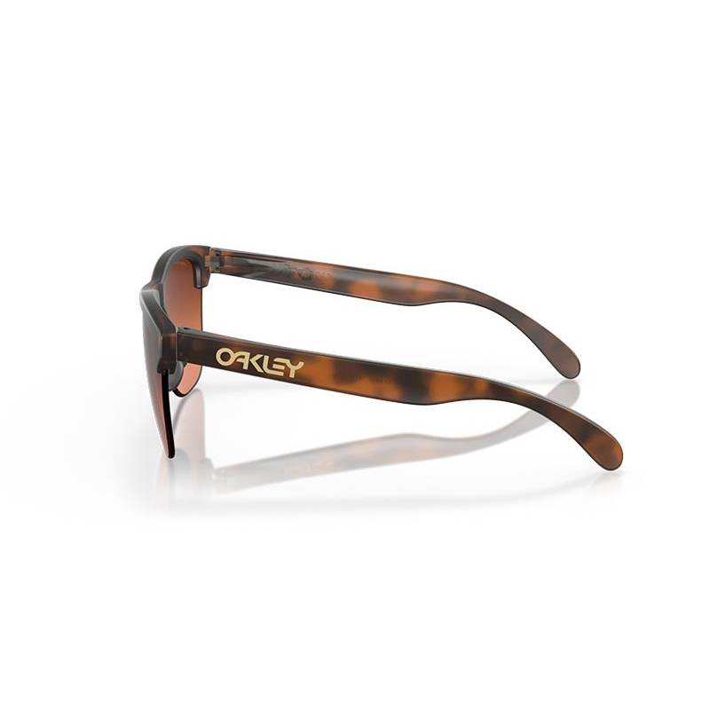 Lunettes Oakley Frogskins Lite OO9374 - 50