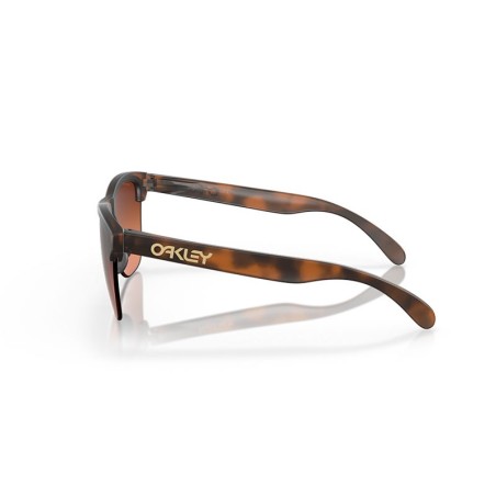 Lunettes Oakley Frogskins Lite OO9374 - 50