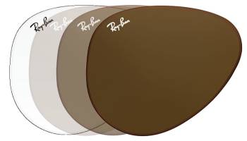 Ray Ban Flexarbon Equalized TRS8 Brun 