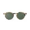 Forme D Light Tortoise Polarized