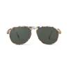 Sun I Blue Tortoise