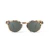 Forme H Blue Tortoise