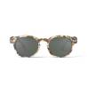 Sun C Blue Tortoise Polarized