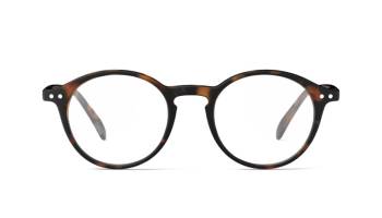 IZIPIZI #D Screen Reading Tortoise
