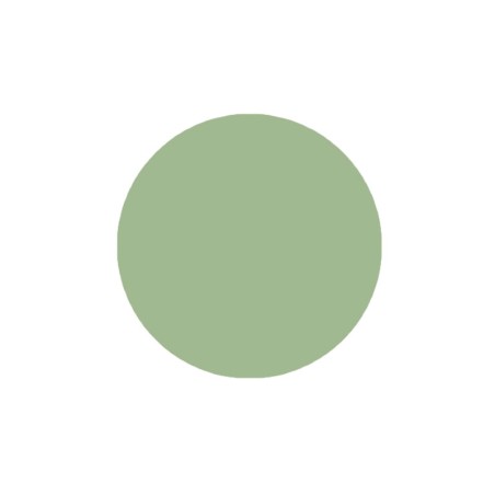verres unifocaux Moscot CMT Calibar Green Medium