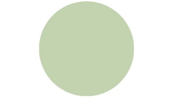 verres Moscot Pastels Collection Lime Light