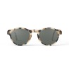 Sun F Light Tortoise