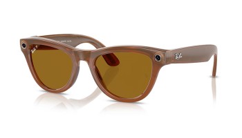 Ray-Ban META Skyler RW4010 - 670683