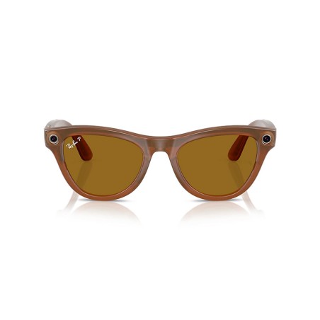 Ray-Ban META Skyler RW4010 - 670683
