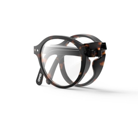 IZIPIZI Forme F Tortoise #F Reading Tortoise