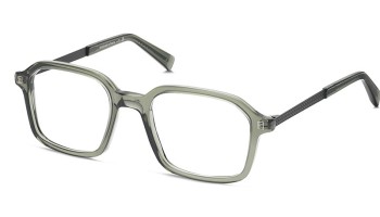 LPLR DNA 004 Olive