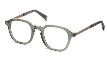 LPLR DNA 006 Olive