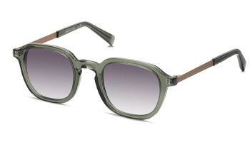 LPLR DNA 006 Olive