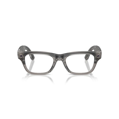 Ray-Ban META RW7001 - 8529