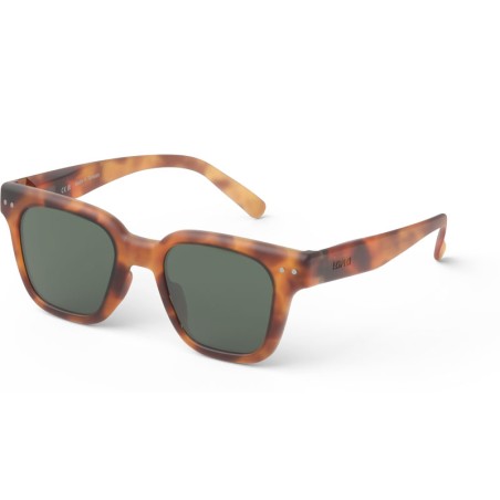 IZIPIZI Sun ROAD Havane Polarized 