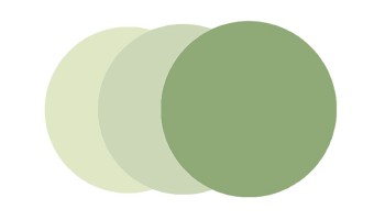 Moscot Green + Moscot