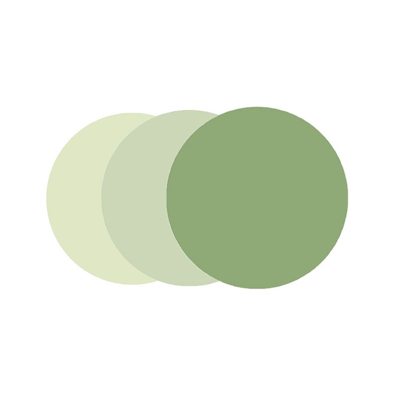 Moscot Green + Moscot