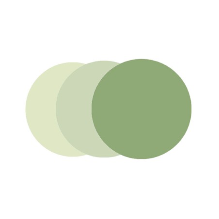 Moscot Green + Moscot