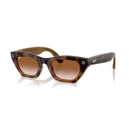 Ray-Ban META Zena Gen 3 RW4015 - 690513