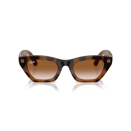 Ray-Ban META Zena Gen 3 RW4015 - 690513