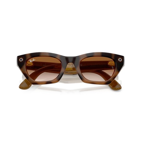 Ray-Ban META Zena Gen 3 RW4015 - 690513