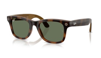 Ray-Ban META Wayfarer Gen 3 RW4011 - 690571